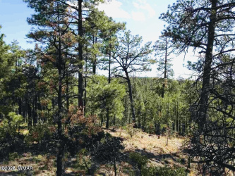 2281 Bristlecone Drive, Show Low, Arizona 85901, ,Land,For Sale,Bristlecone,249980