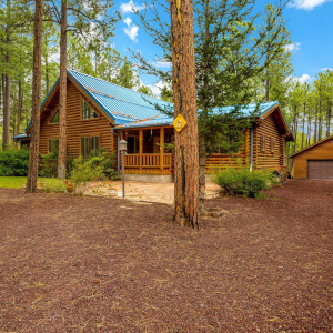 368RimRd-Pinetop-AZ-1