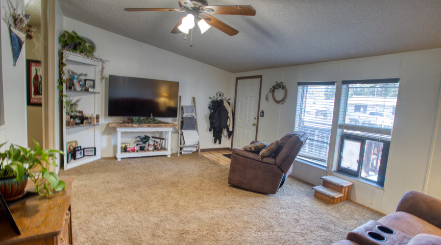 Living Room additional view