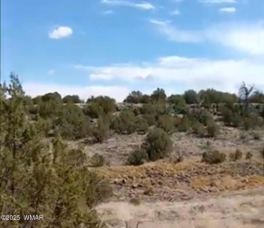 8594 Bobcat Drive, Show Low, Arizona 85901, ,Land,For Sale,Bobcat,257590