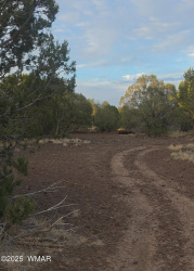 8588 Bobcat Drive, Show Low, Arizona 85901, ,Land,For Sale,Bobcat,257591
