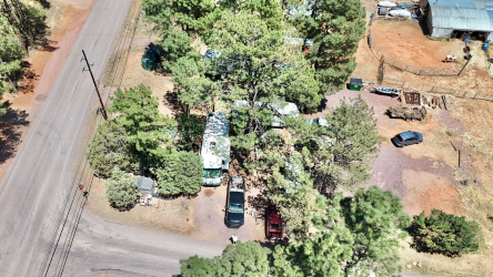 4991 Old Spruce Drive, Pine, Arizona 85544, ,0,For Sale,Old Spruce,92749