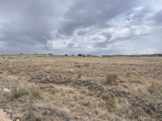 19 County Road 6012, St. Johns, Arizona 85936, ,Land,For Sale,County Road 6012,257596