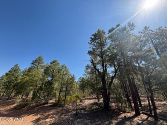 181 Cliffrose Lane, Show Low, Arizona 85901, ,Land,For Sale,Cliffrose,257599
