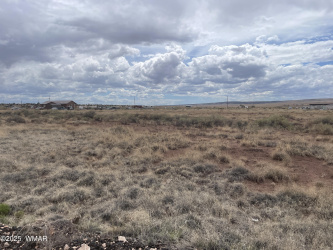29 County Road 6010, St. Johns, Arizona 85936, ,Land,For Sale,County Road 6010,257595
