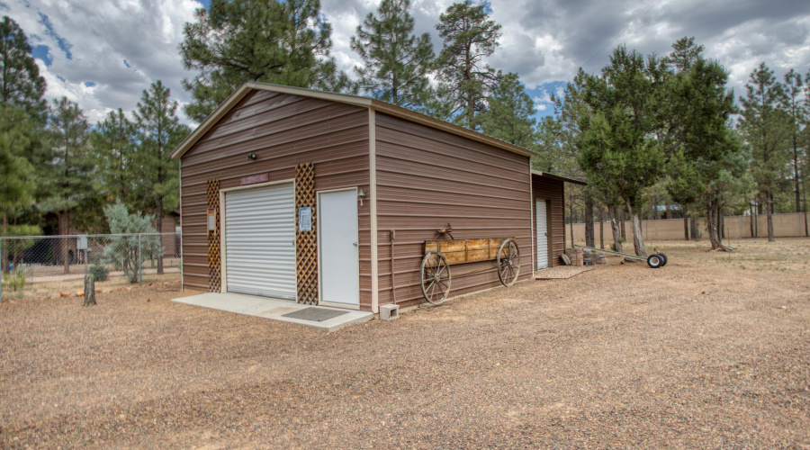 Paxmanphoto_PAX_8193