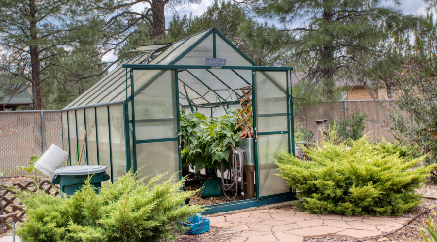 Paxmanphoto_PAX_8188