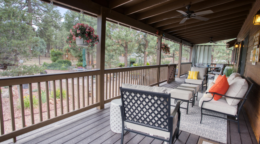 Paxmanphoto_PAX_8182