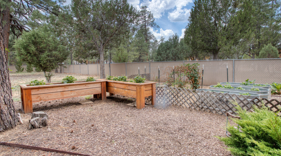 Paxmanphoto_PAX_8191