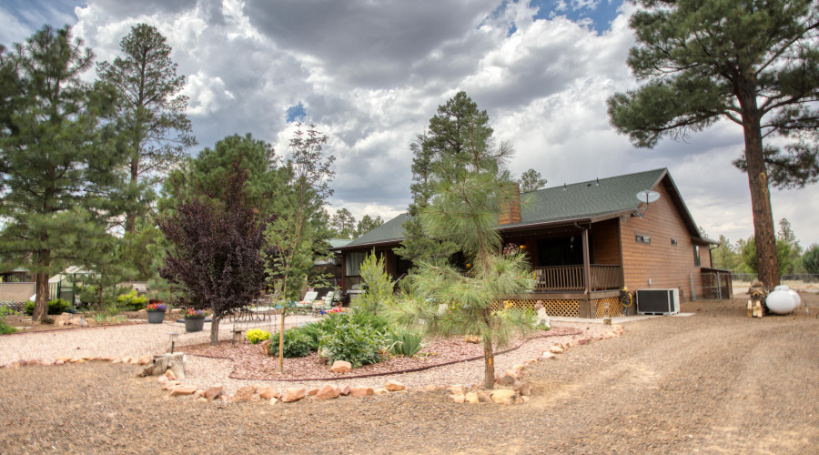 Paxmanphoto_PAX_8202