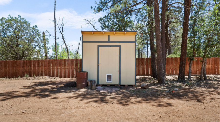 Storage Shed in Back Yard