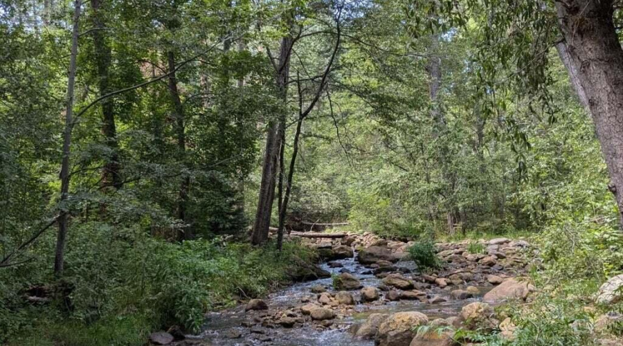 20250802031155165257000000-o