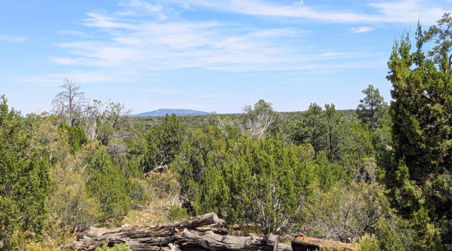 PXL_20250818_202050435~2