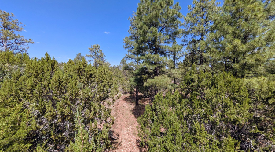 PXL_20250818_201805110~2