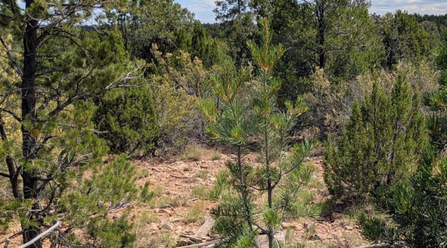 PXL_20250818_201115799~2