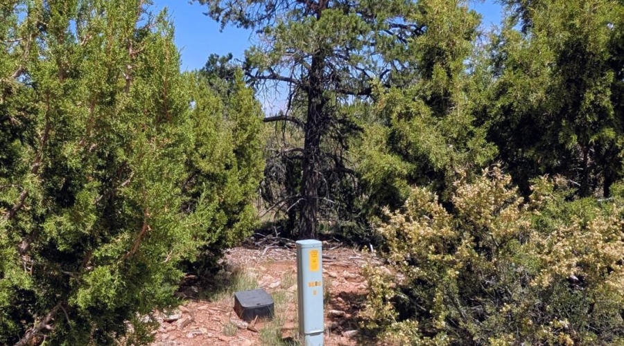 PXL_20250818_201618186~2