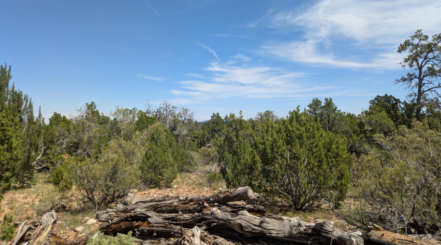 PXL_20250818_200907121