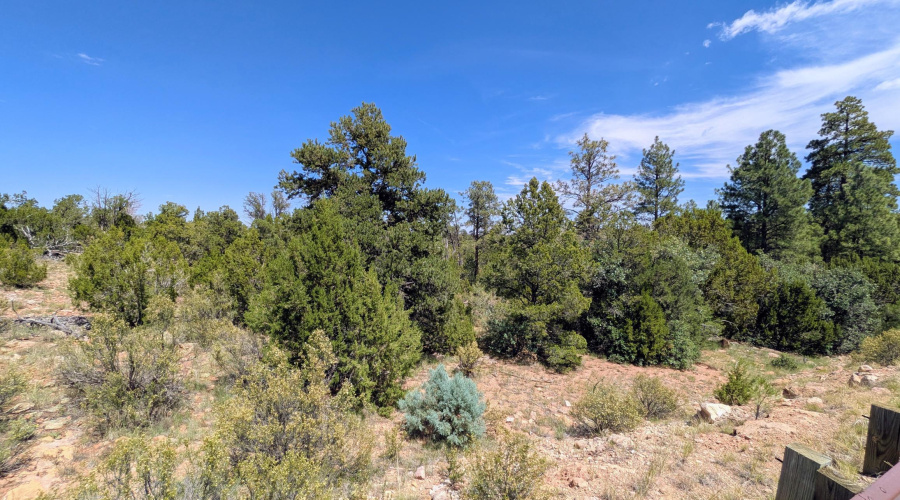 PXL_20250818_201713209~2