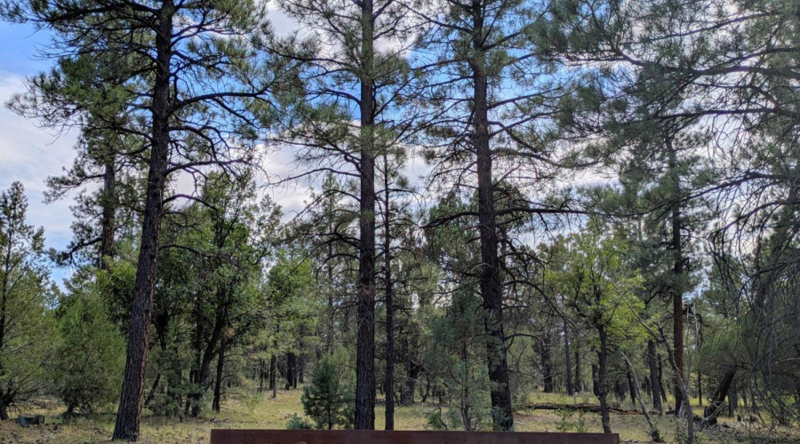 PXL_20250818_195816438~2