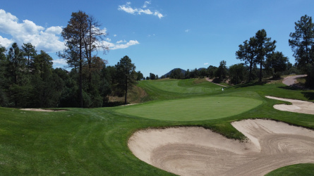 201 RIM CLUB Drive, Payson, Arizona 85541, ,Land,For Sale,RIM CLUB,92757