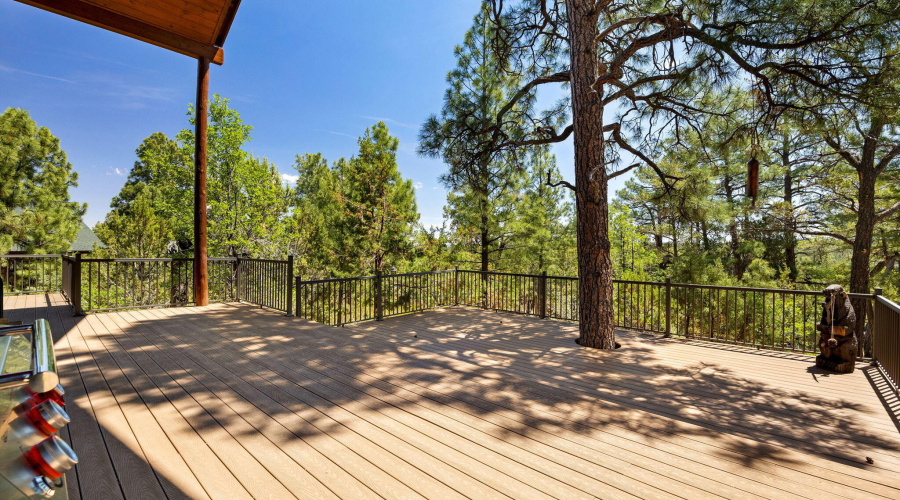 1661GambelOakRd-ShowLow-AZ-28