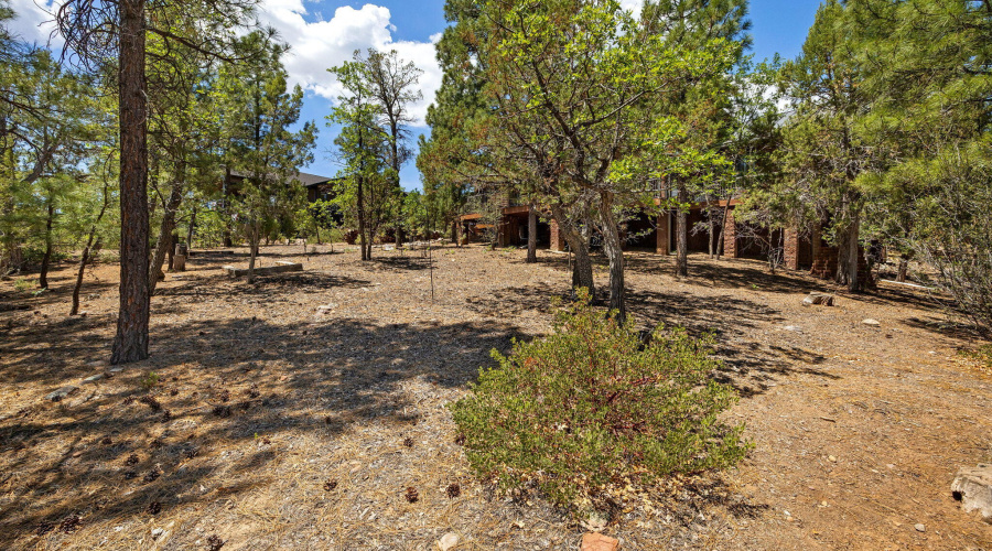 1661GambelOakRd-ShowLow-AZ-32