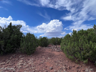000 Antelope Road, Show Low, Arizona 85901, ,Land,For Sale,Antelope,256970