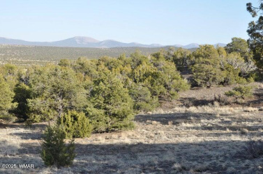 20 CO RD 3 3044, Concho, Arizona 85924, ,Land,For Sale,3044,257605