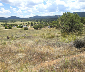 410-3 Rolling Hills Road, Young, Arizona 85554, ,Land,For Sale,Rolling Hills,92734
