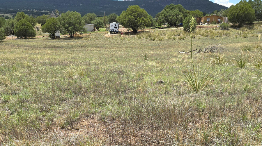 Prcl 4 Neighbor to S