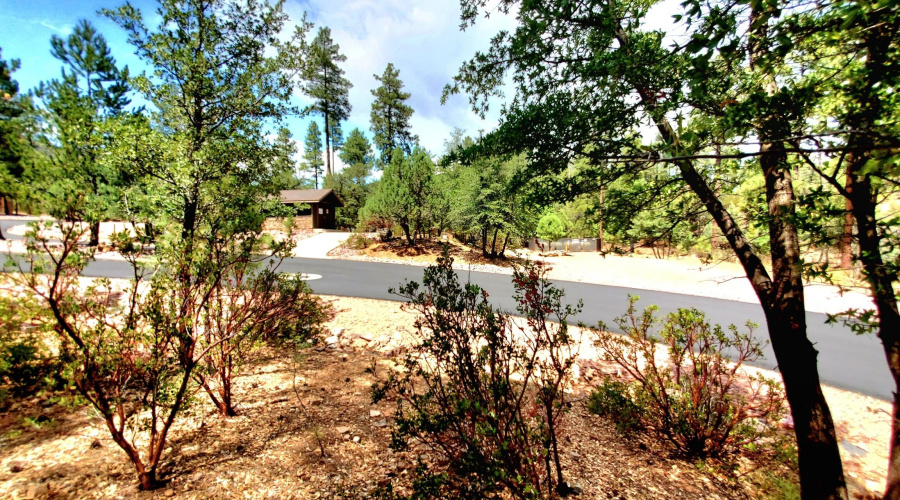 20250821_130425_resized_1