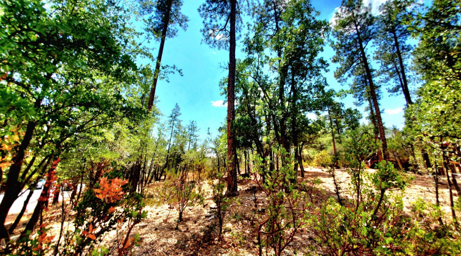 20250821_130443_resized_1