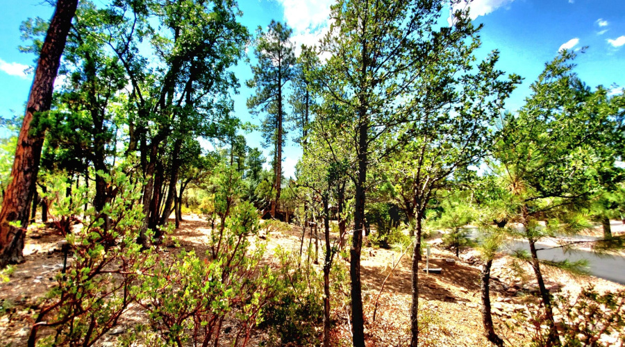 20250821_130450_resized_1