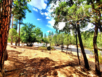 Lot 19 Strawberry Hollow, Pine, Arizona 85544, ,Land,For Sale,Strawberry Hollow,92765