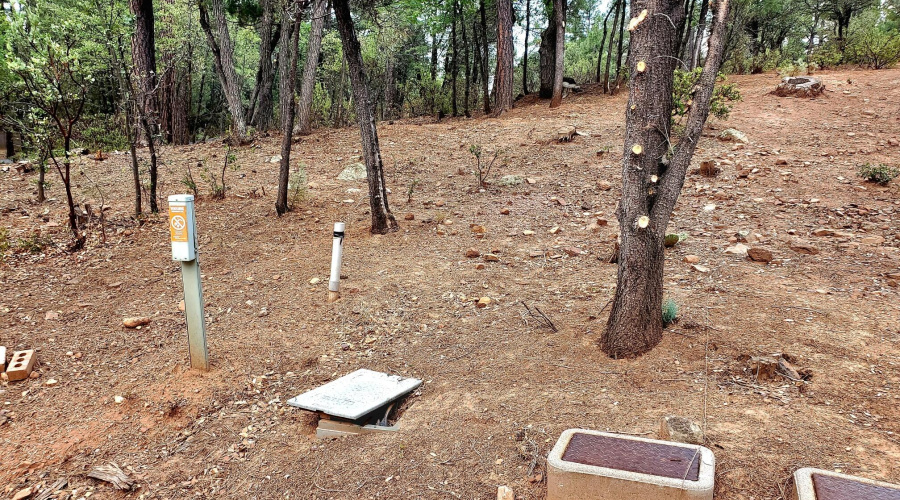 3-20250821_130112_resized_1