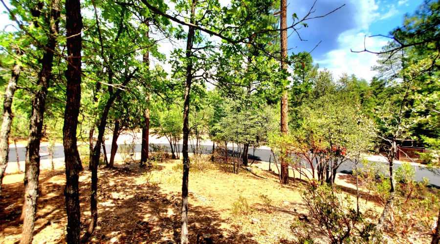 20250821_130313_resized_1