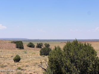 104 N9328, Concho, Arizona 85924, ,Land,For Sale,N9328,252016