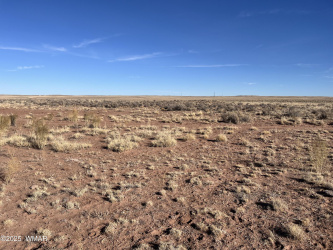 TBD 19th Street, Holbrook, Arizona 86025, ,Land,For Sale,19th,254462