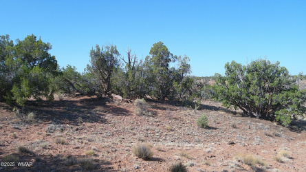 TBD Wicked Sisters Way 38ac, Concho, Arizona 85924, ,Land,For Sale,Wicked Sisters Way 38ac,257622