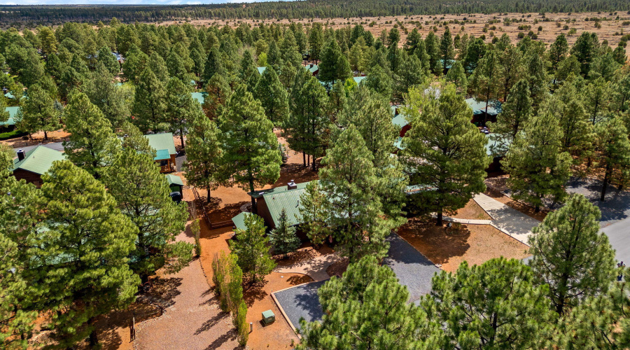 2692PalominoTrail-HeberOvergaard-AZ-27