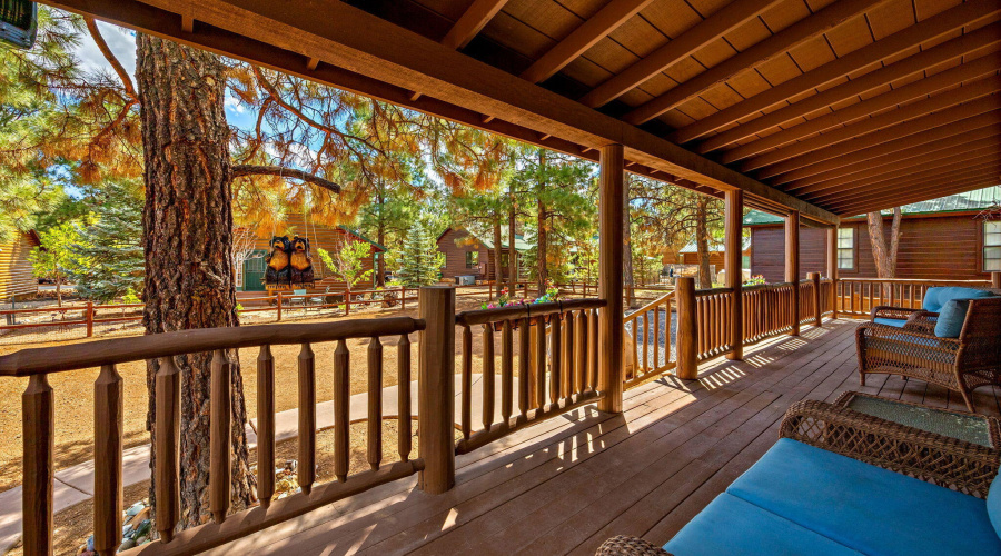 2692PalominoTrail-HeberOvergaard-AZ-19