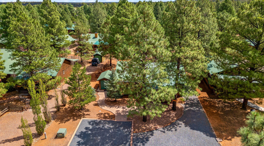 2692PalominoTrail-HeberOvergaard-AZ-26