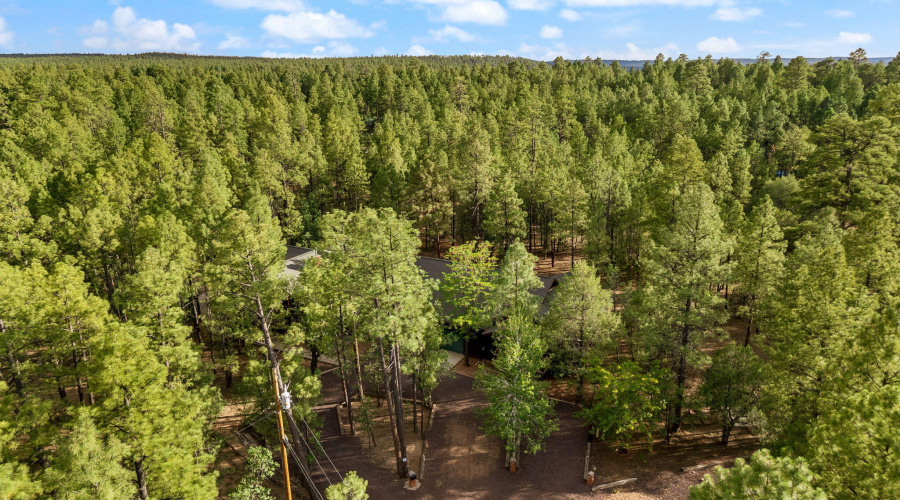 297FoxLn-Lakeside-AZ-63