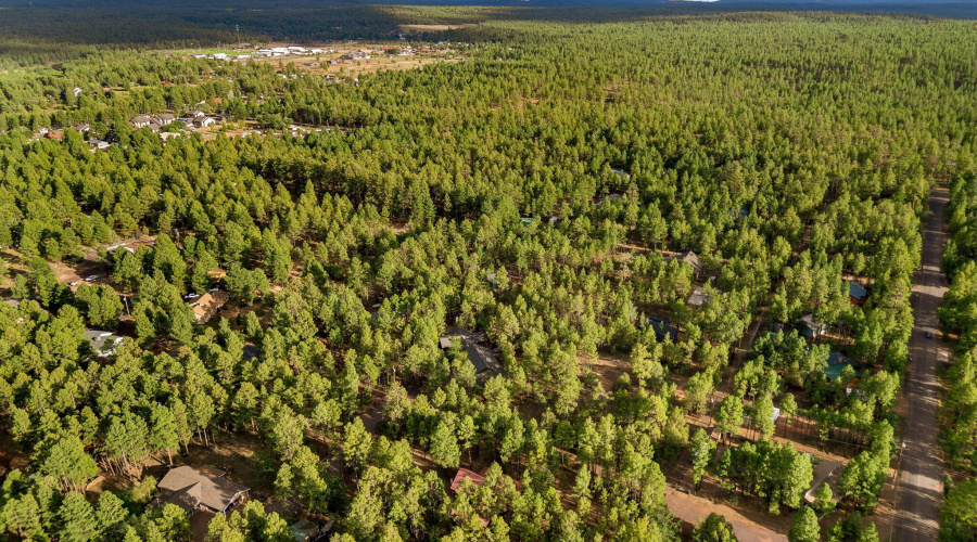 297FoxLn-Lakeside-AZ-65