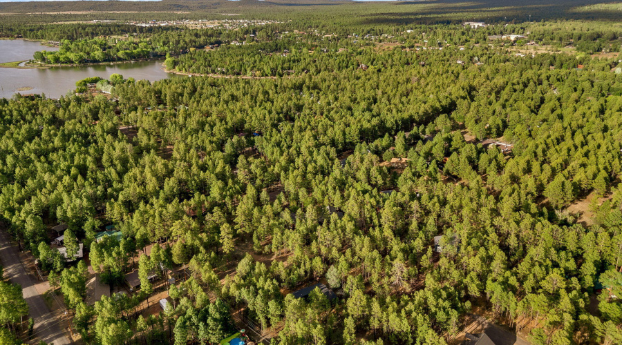 297FoxLn-Lakeside-AZ-66