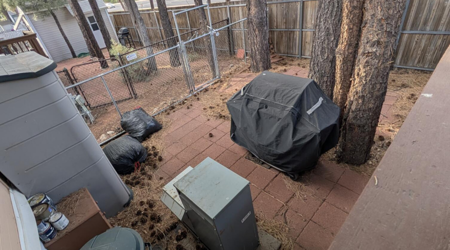 PXL_20250821_004102725