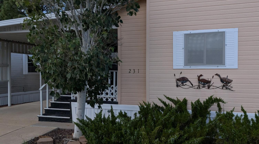 PXL_20250821_004734538