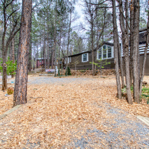Paxmanphoto_PAX_0046