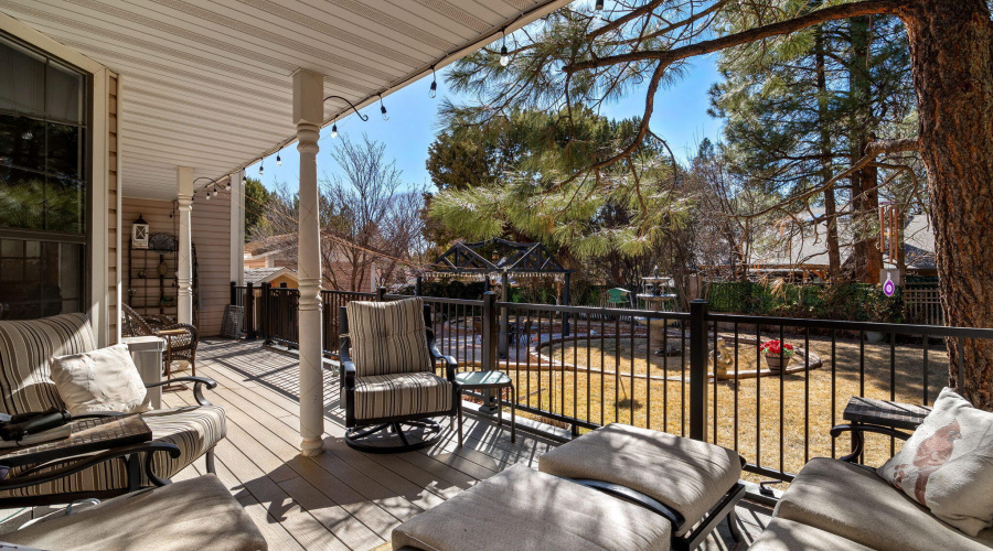 Mature Trees in Backyard