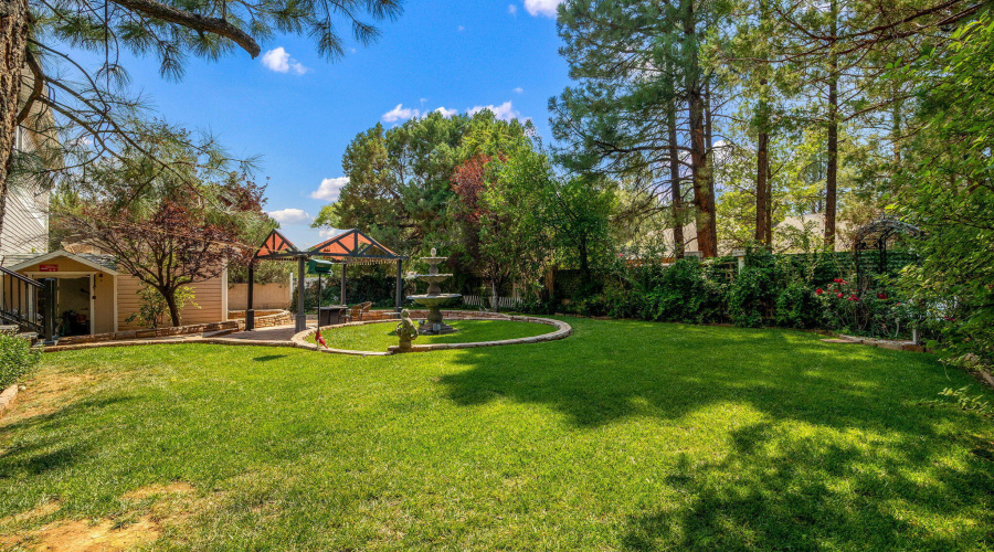 Mature Trees in Backyard